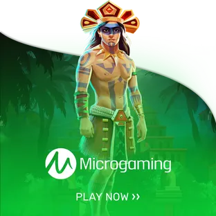 Micro Gaming